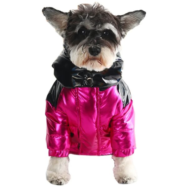 Classic Designer High Quality Autumn Winter Pet Dog Down Jacket Brand Dog Winter Jacket