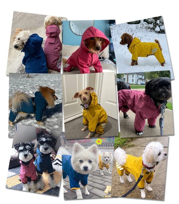 Popular Dog raincoat all-wrapped four-legged poncho