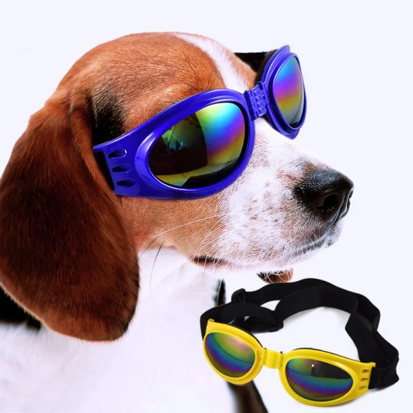 sunglasses pet accessories