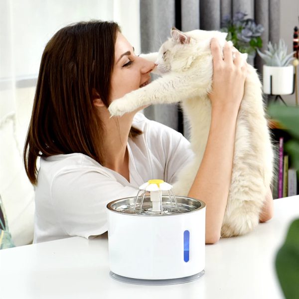 2.4L USB Cable Water Fountain Replaceable Filtration Automatic Cat Water Fountain Mute Activated Carbon Water Fountain