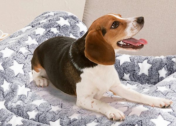 Hot Sale Puppy Dog Cat Fleece Blankets Cushion Pet Sleep Mat Pad Bed Cover Soft Warm Blanket for Animals