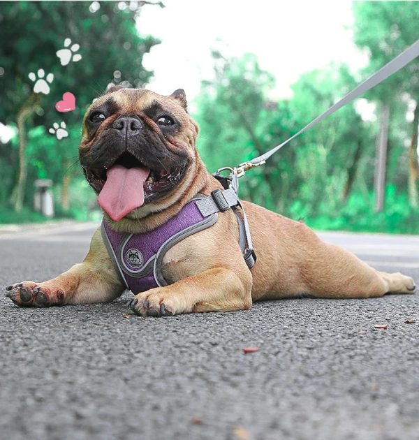 hot selling pet chest strap dog leash for big dog breathable reflective I-shaped chest back pet supplies