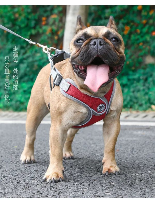 hot selling pet chest strap dog leash for big dog breathable reflective I-shaped chest back pet supplies