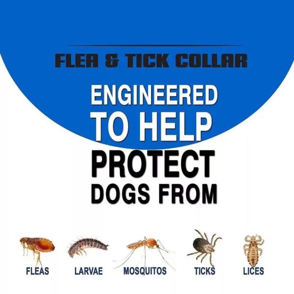 Removes Flea And Tick Collar for Dogs Cats Up To 8 Month Flea Tick Collar Anti-mosquito & Insect Repellent Breakaway Cat Collar