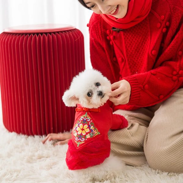 Puppy tang suit warm clothes Teddy autumn and winter suit pet thickened cat small dog puppy princess skirt