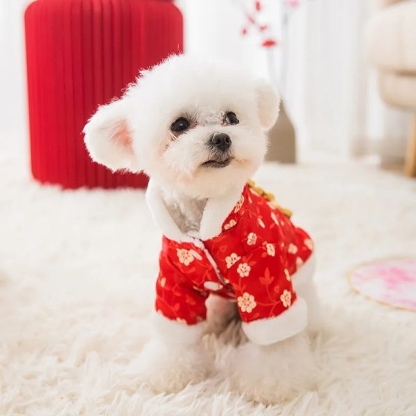 Pet Tang dynasty gold plate button Chinese New Year cotton-padded clothes teddy than bear small winter clothing cat dog clothes