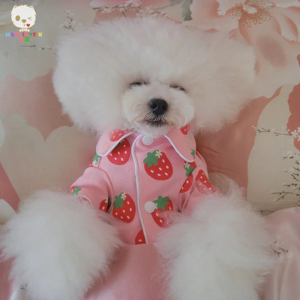 New 4 Seasons Pet Pajamas Cotton dog pajamas cartoon strawberry chicken cat clothes