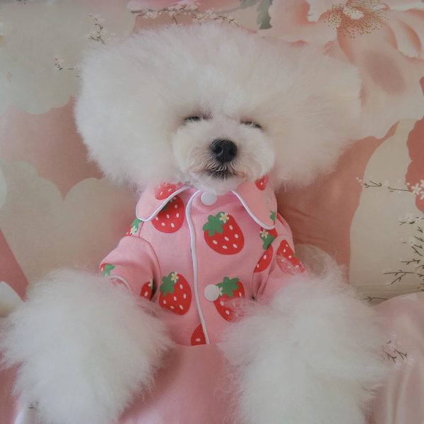 New 4 Seasons Pet Pajamas Cotton dog pajamas cartoon strawberry chicken cat clothes