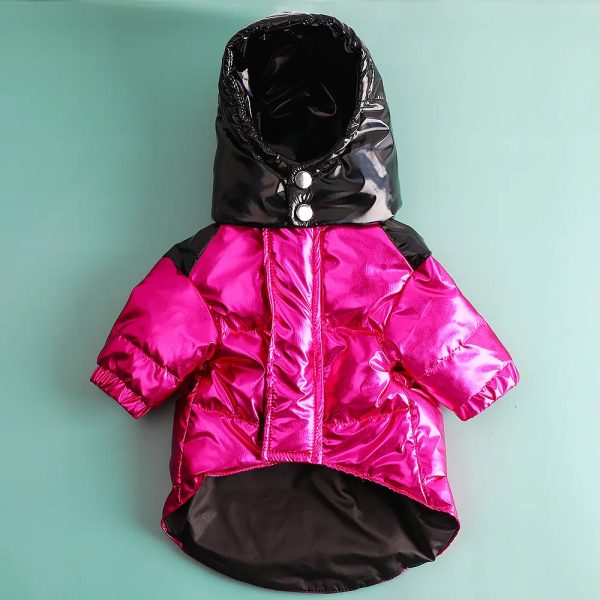 Classic Designer High Quality Autumn Winter Pet Dog Down Jacket Brand Dog Winter Jacket