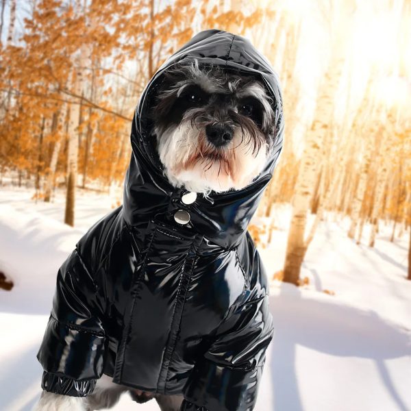 High Quality Autumn Winter Pet Dog Down Jacket Brand Dog Winter Jacket