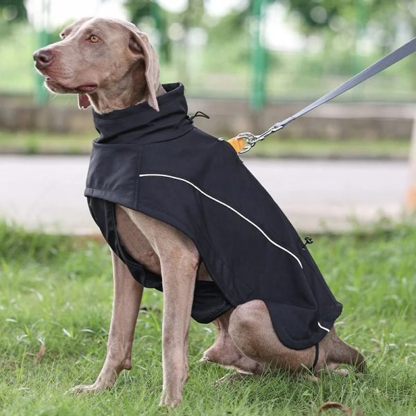 Warm pet clothing Waterproof and thick dog clothing