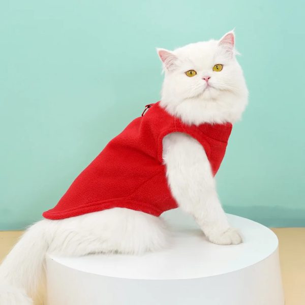 pet clothes