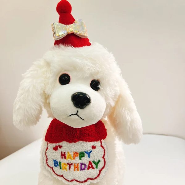 Pet birthday hat cat scarf collar dog drool towel