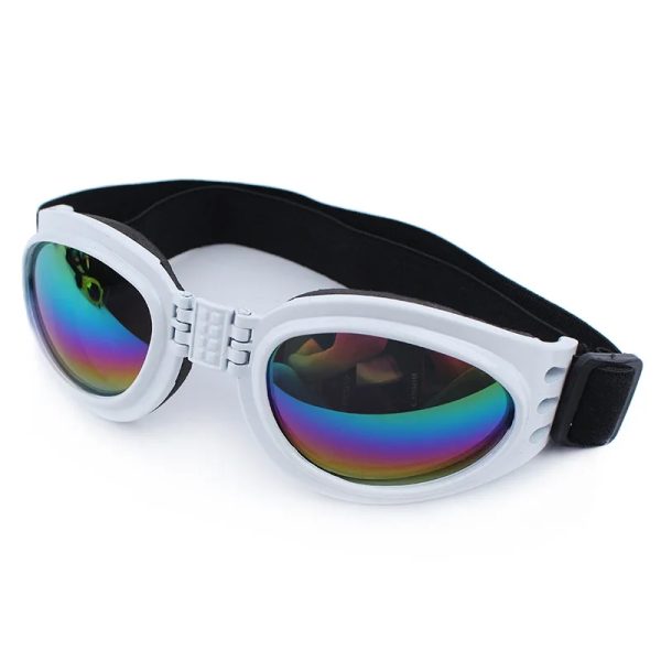 sunglasses pet accessories