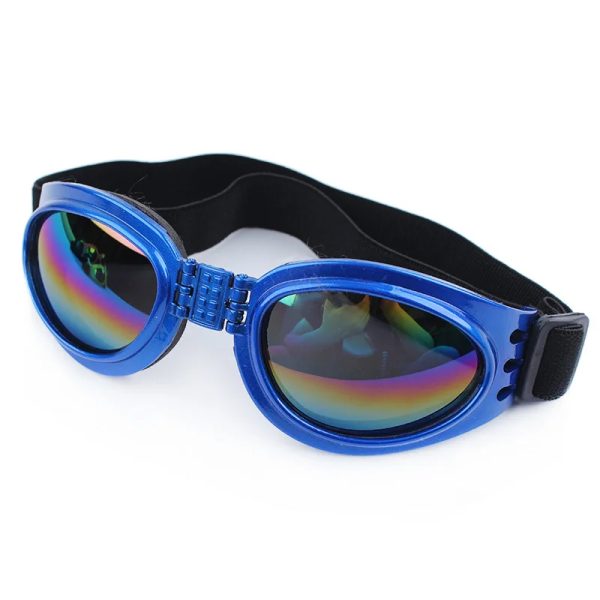 sunglasses pet accessories