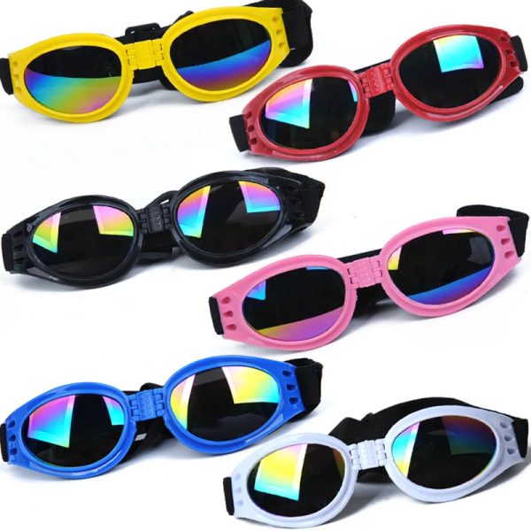 sunglasses pet accessories