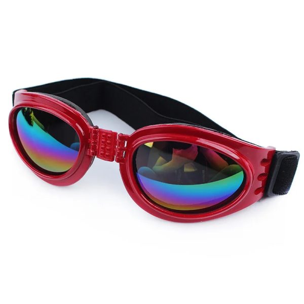 sunglasses pet accessories