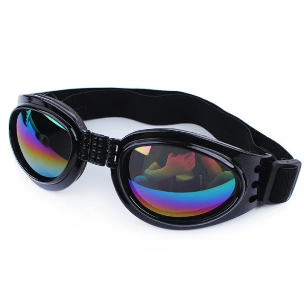 sunglasses pet accessories